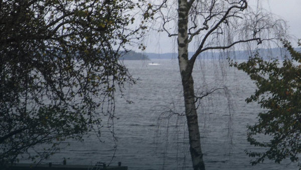Нашумевшее фото